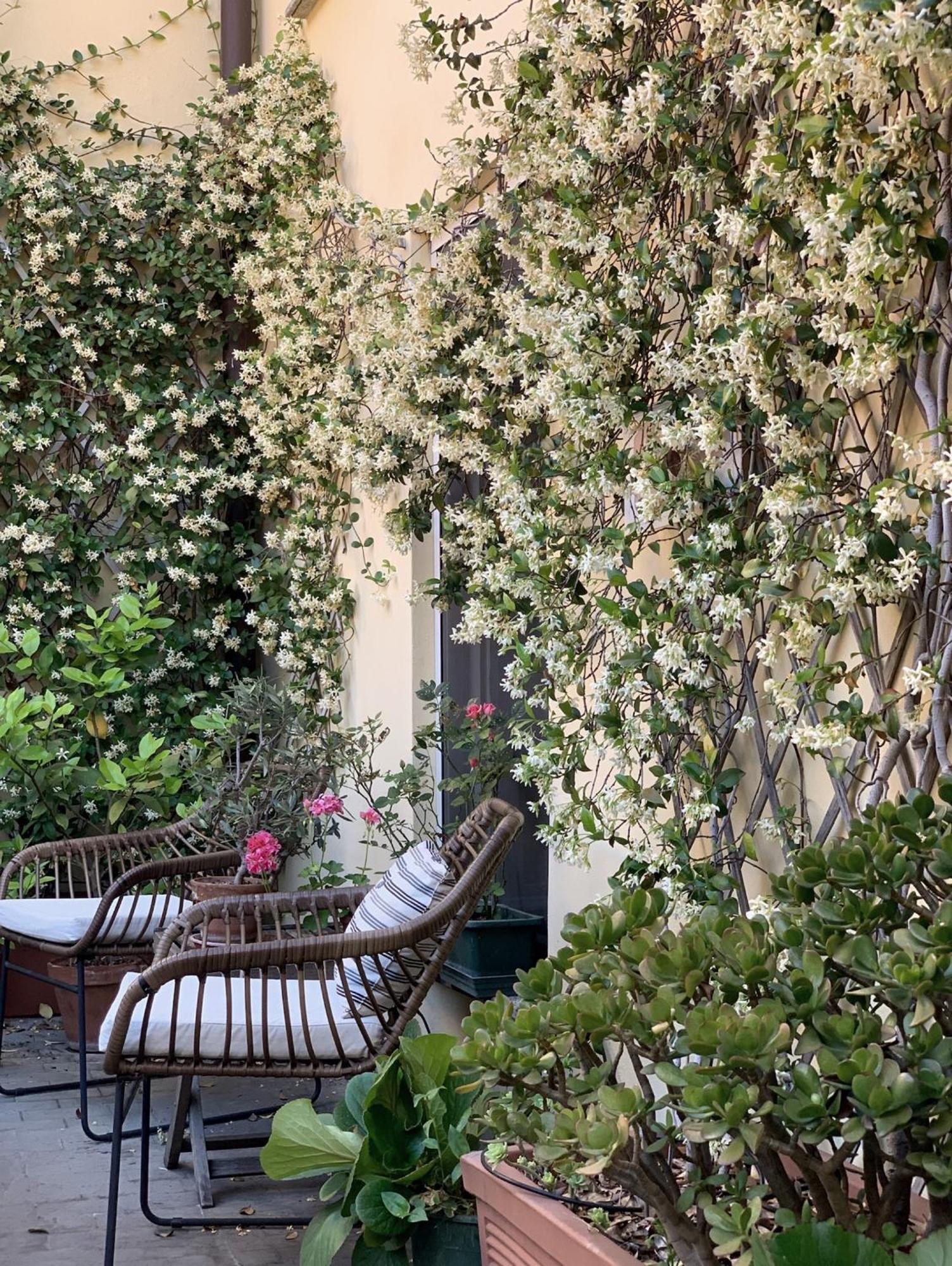 Bed and Breakfast Gioia House Milán Exterior foto